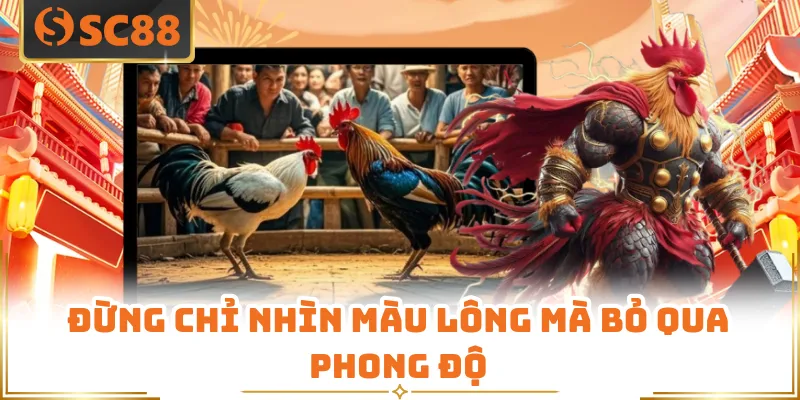 Đừng chỉ nhìn màu lông mà bỏ qua phong độ